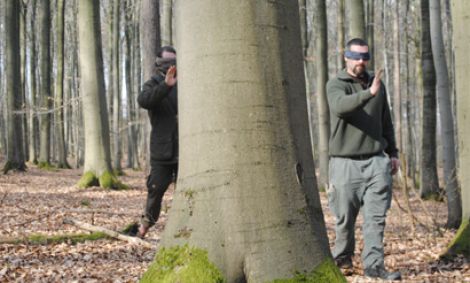 Firmentrainings in freier Natur