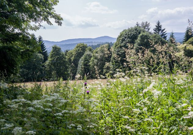 Nationalpark Sumava