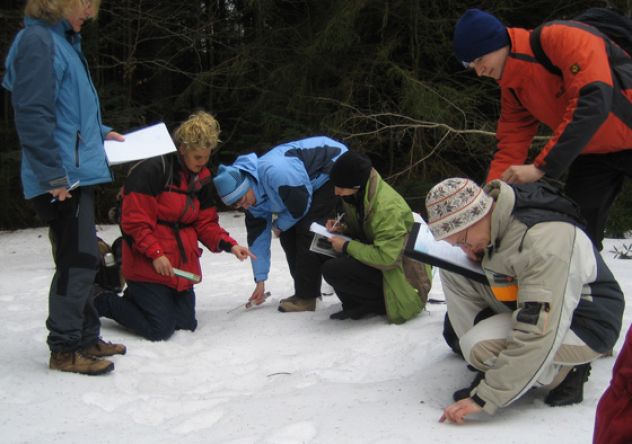 Lesen im Buch der Natur Lesen im Buch der Natur