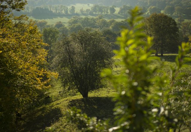 … im Reinhardswald … im Reinhardswald