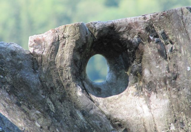 …in der Natur entdecken …in der Natur entdecken