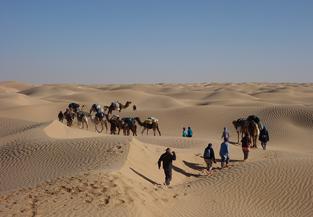 Karawane in der Sahara