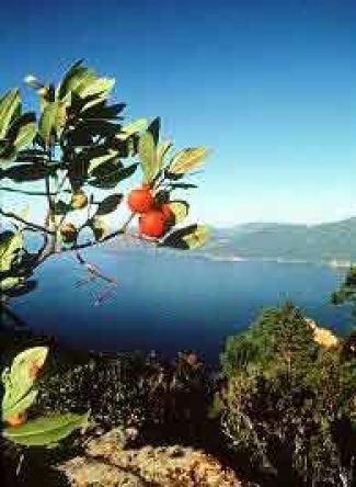 Trekking-Touren mit Meeresblick