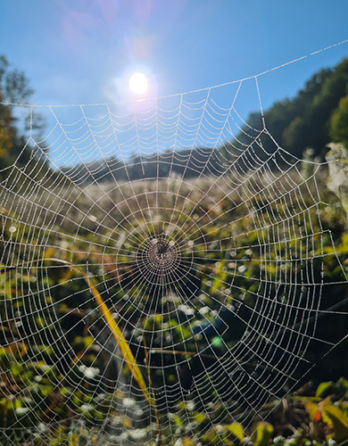 …einer neuen Erdkultur