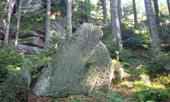 Sandsteinfelsen&nbsp;und&nbsp;Urwald