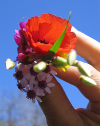 Weiterbildung Natur- und Wildnispädagogik