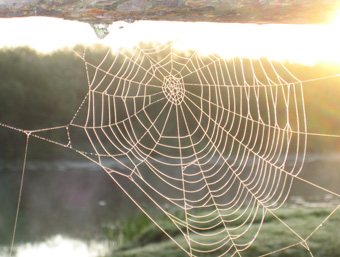 Kunden und Partner von WILDNISWANDERN