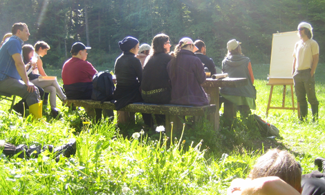 Lernen in freier Natur