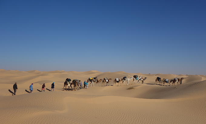 Wüstenschiffe im Sandmeer