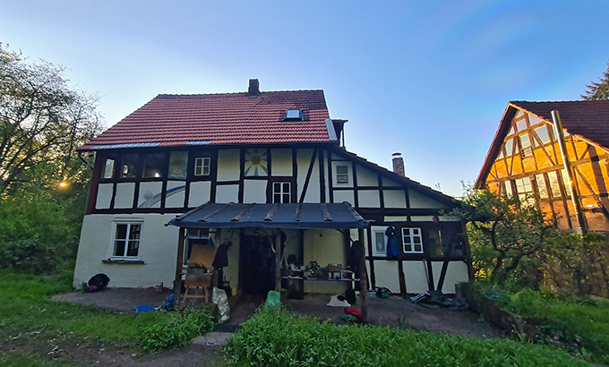 Leben in der Wildnis II